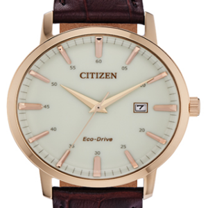 RELOJ CITIZEN BM7463